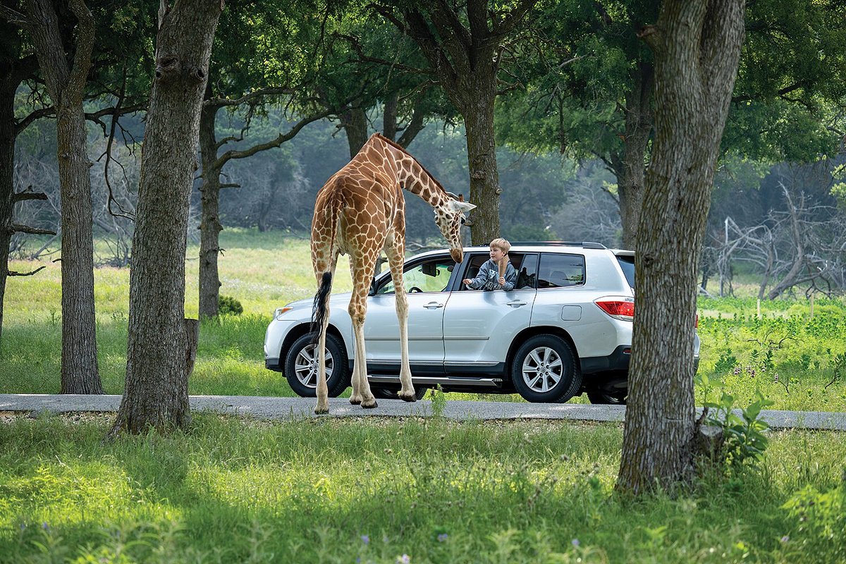 Fossil Rim Wildlife Center